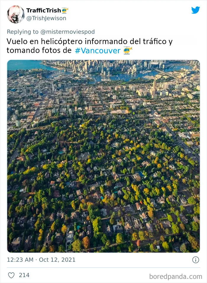 20 Personas que en realidad adoran su trabajo cuentan lo que hacen