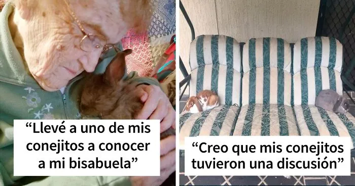 40 Conejos tan adorables que son incomparables