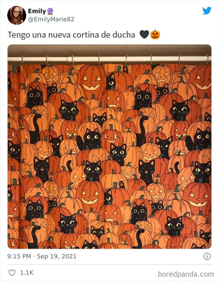 Gatos y calabazas