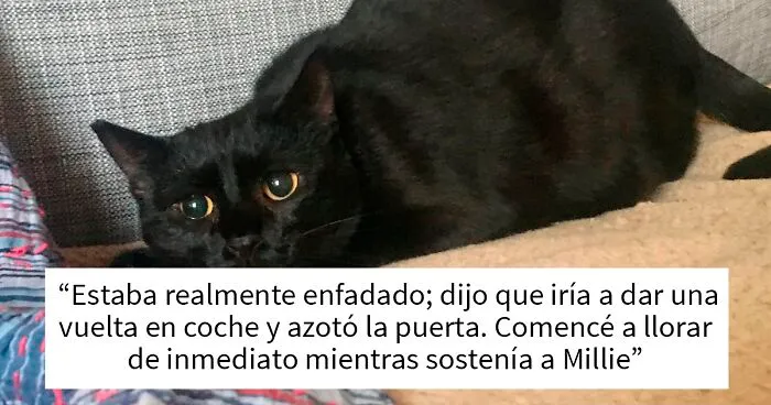 Esta mujer pregunta si fue una idiota por echar a su novio de su apartamento al descubrirlo hablándole de mala manera a su gata