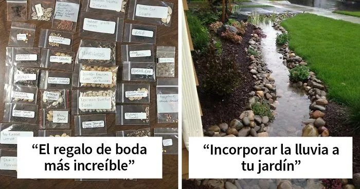 40 De las mejores fotos del grupo online "Jardinería interesante"