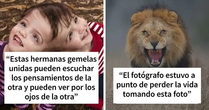 TikToker comparte "datos curiosos que quizá no querías saber", aquí tienes 20 de los mejores