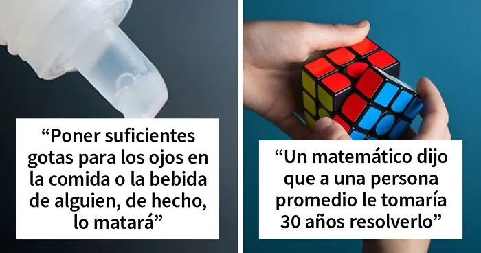 Cuanto más sepas: Los cibernautas comparten 35 datos interesantes que todo el mundo debería conocer
