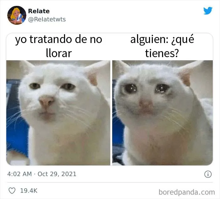 Esta cuenta de Twitter está dedicada a chistes y memes con los que probablemente nos sintamos identificados (20 fotos)