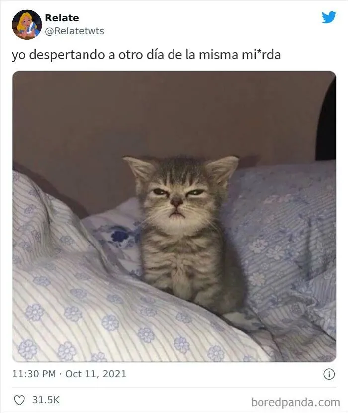 Esta cuenta de Twitter está dedicada a chistes y memes con los que probablemente nos sintamos identificados (20 fotos)