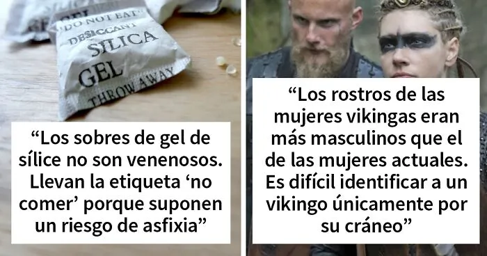 "Hoy aprendí": 30 datos que demuestran que nunca es tarde para aprender (nuevas fotos)
