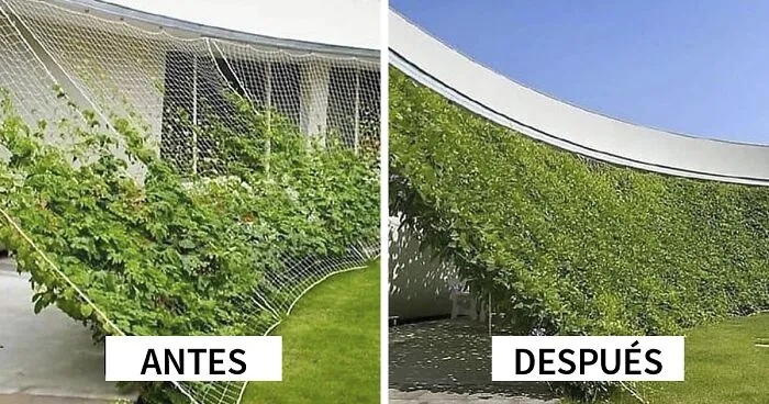 Esta cuenta de Instagram muestra cómo un buen diseño puede transformar un espacio y aquí hay 30 de las mejores fotos del antes y el después