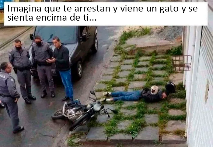 25 Personas concretas que fueron troleadas por el universo, y el resultado son estas divertidas fotos