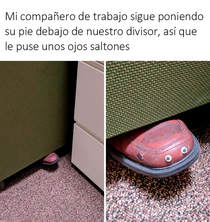 Alerta de ganso tonto