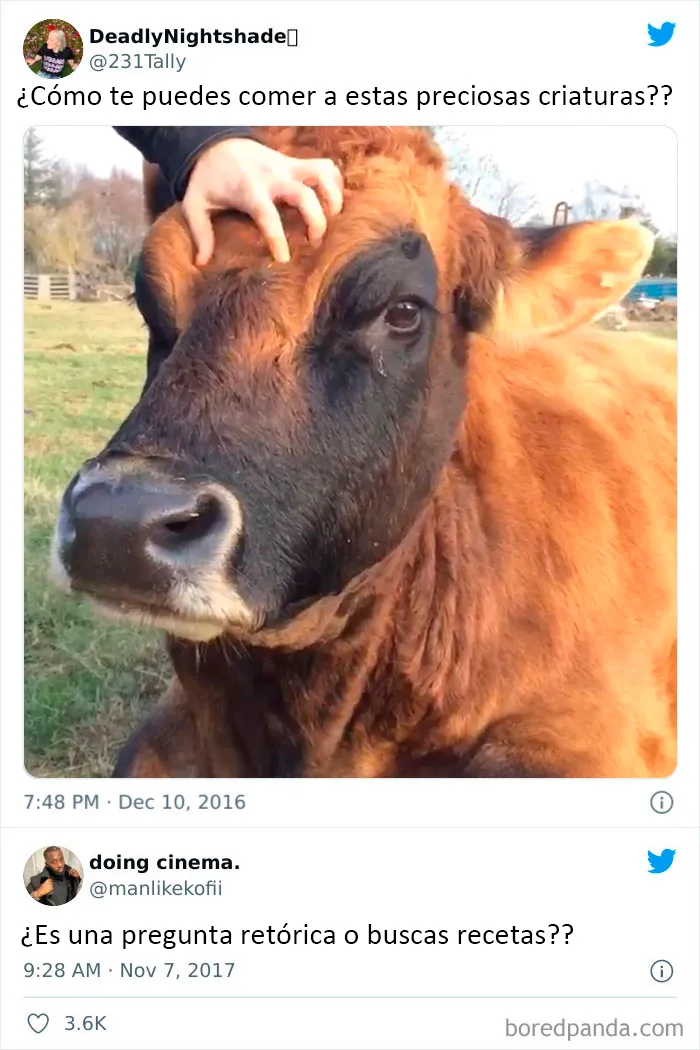 20 Comentarios tan buenos que llegaron al Instagram de 'Comment Awards'
