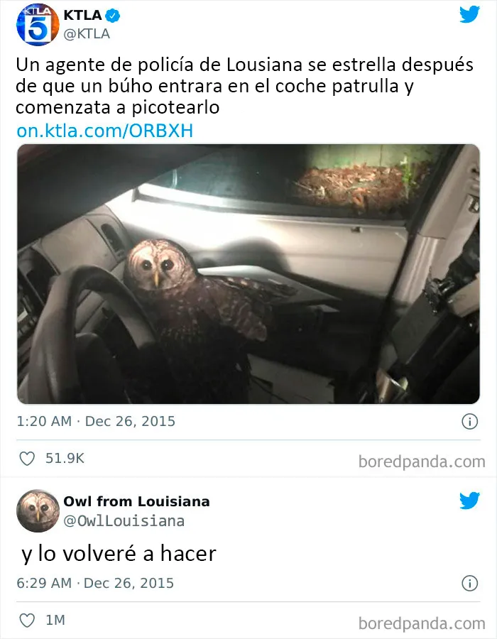 25 Personas concretas que fueron troleadas por el universo, y el resultado son estas divertidas fotos