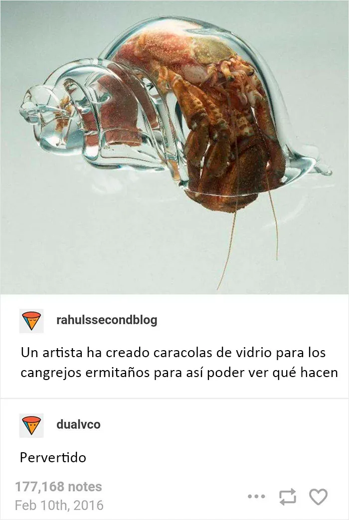20 Comentarios tan buenos que llegaron al Instagram de 'Comment Awards'