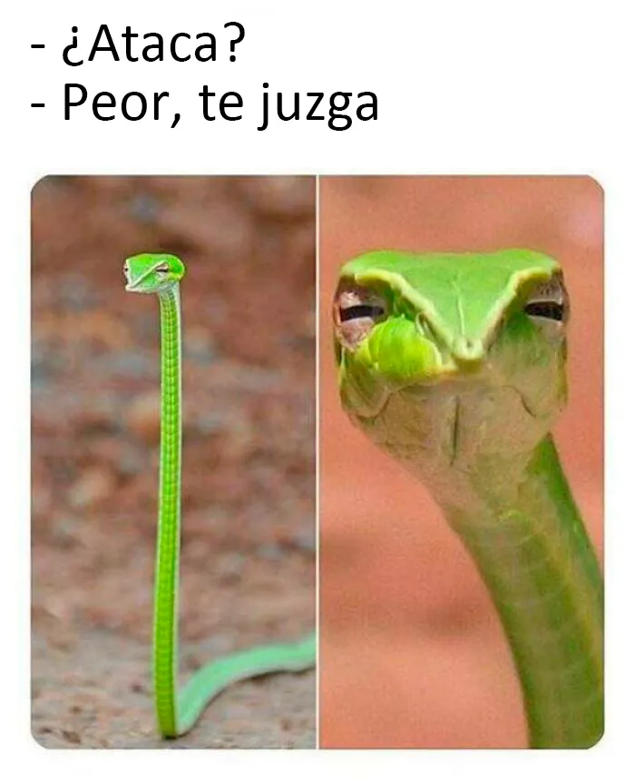 Juzgadora, la manipuladora de la culpa