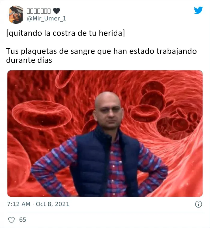 Costra