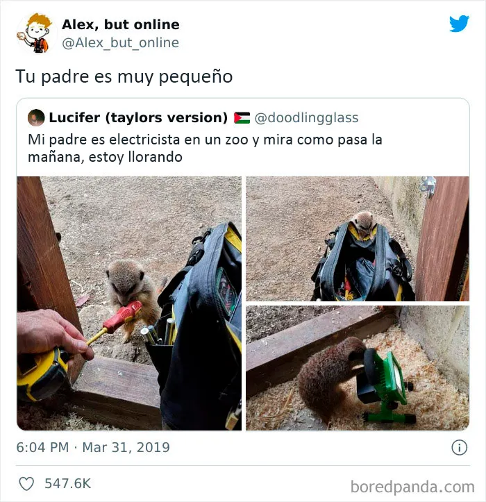 20 Comentarios tan buenos que llegaron al Instagram de 'Comment Awards'