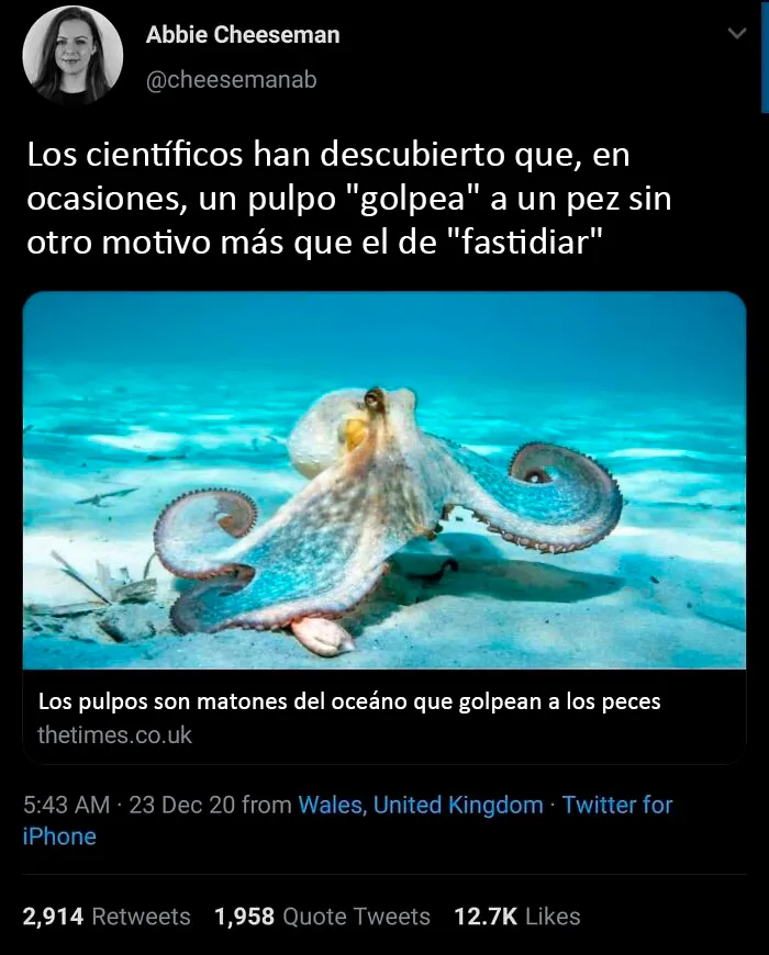 25 Personas concretas que fueron troleadas por el universo, y el resultado son estas divertidas fotos