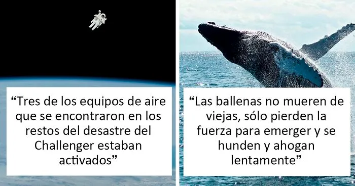 25 Datos inquietantes que quizá no deberían haber sido compartidos, pero ahí están