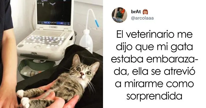 20 Divertidos memes para levantar el ánimo