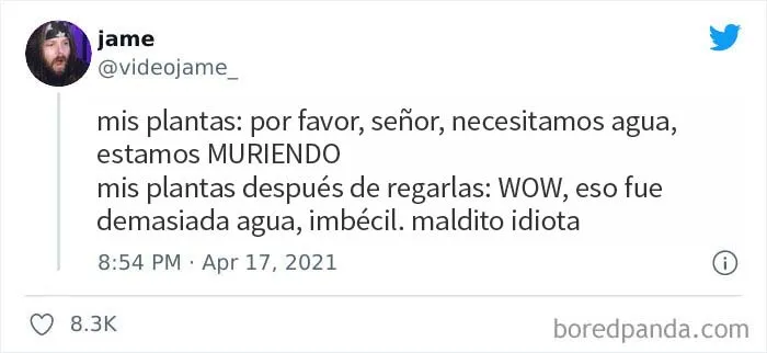 20 Divertidos memes para levantar el ánimo