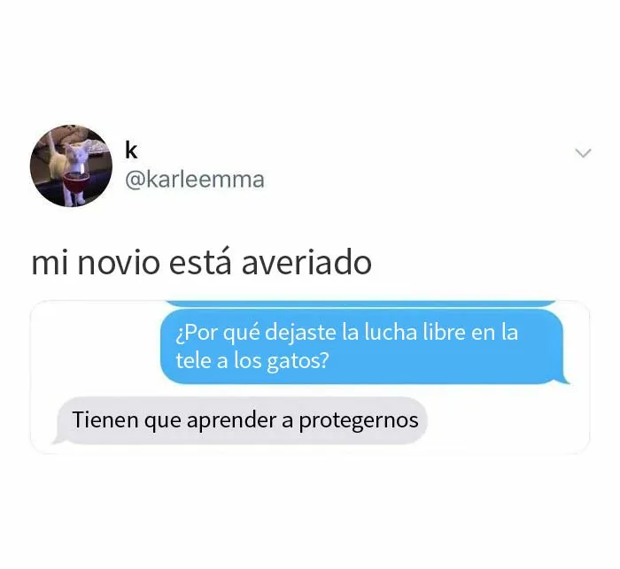 20 Divertidos memes para levantar el ánimo
