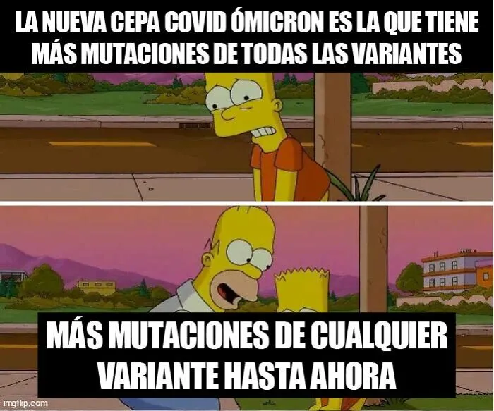 20 Nuevos memes sobre la pandemia y la nueva variante "omicron" para hacerte reír o llorar