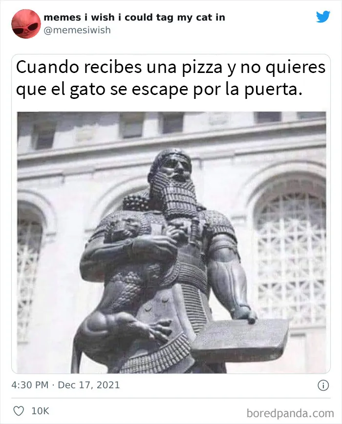 20 de los mejores “memes en los que me gustaría poder etiquetar a mi gato”