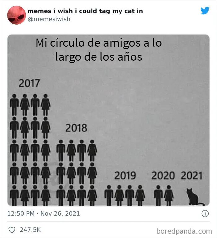 20 de los mejores “memes en los que me gustaría poder etiquetar a mi gato”
