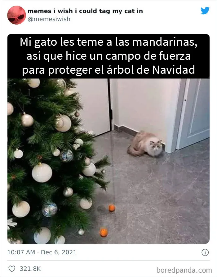 20 de los mejores “memes en los que me gustaría poder etiquetar a mi gato”