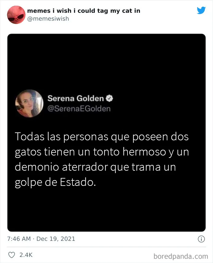 20 de los mejores “memes en los que me gustaría poder etiquetar a mi gato”