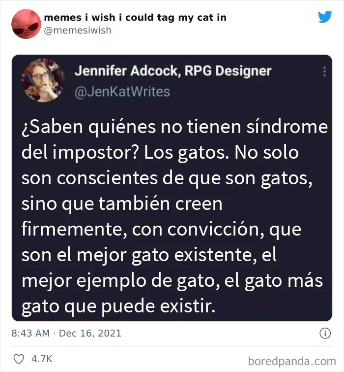 20 de los mejores “memes en los que me gustaría poder etiquetar a mi gato”