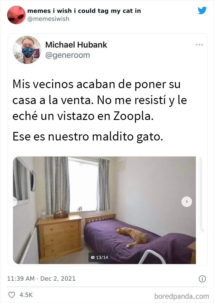 20 de los mejores “memes en los que me gustaría poder etiquetar a mi gato”