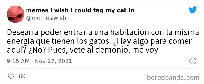 20 de los mejores “memes en los que me gustaría poder etiquetar a mi gato”
