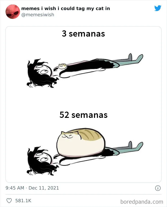 20 de los mejores “memes en los que me gustaría poder etiquetar a mi gato”