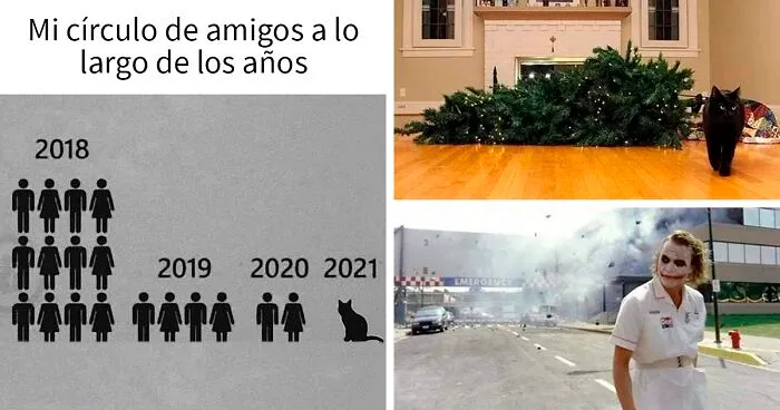 20 de los mejores “memes en los que me gustaría poder etiquetar a mi gato”