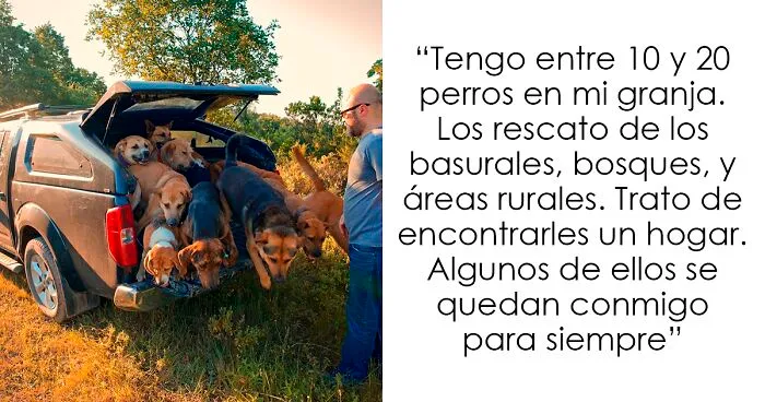 Este hombre transformó su granja en un refugio de animales con perros y gatos, pero también caballos, gaviotas y más