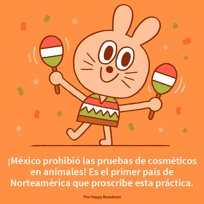 Me cansé de todas las malas noticias, así que he ilustrado 20 de las mejores noticias de 2021