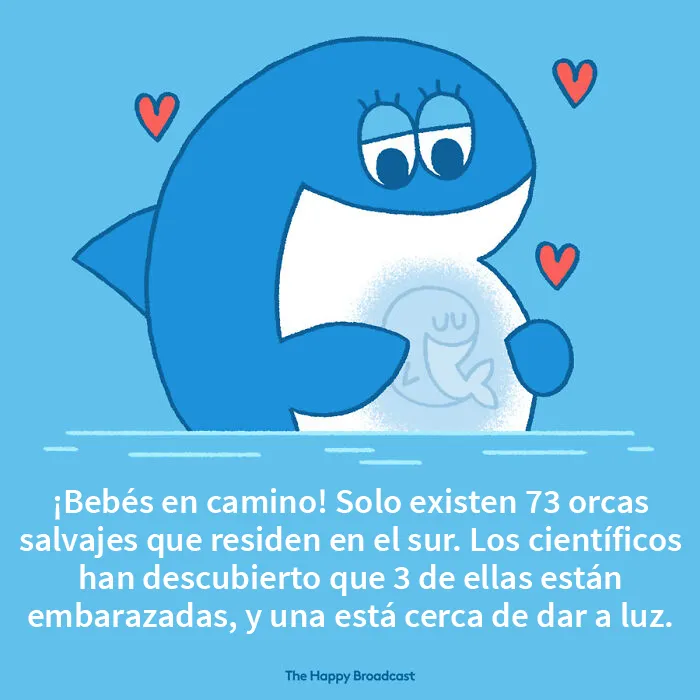 Me cansé de todas las malas noticias, así que he ilustrado 20 de las mejores noticias de 2021