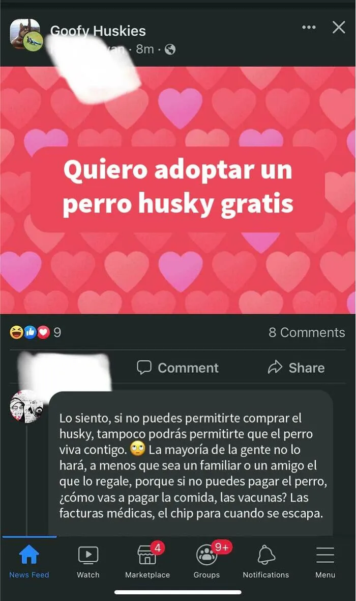 ¿Husky gratis?
