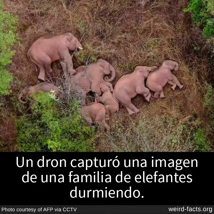 Estos 20 “datos extraños” sobre el mundo podrían darles una nueva perspectiva