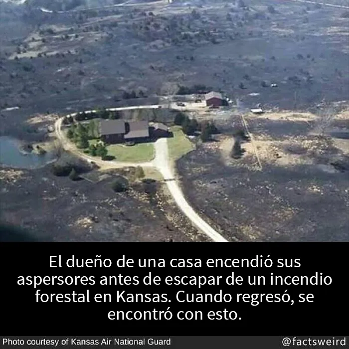 Estos 20 “datos extraños” sobre el mundo podrían darles una nueva perspectiva