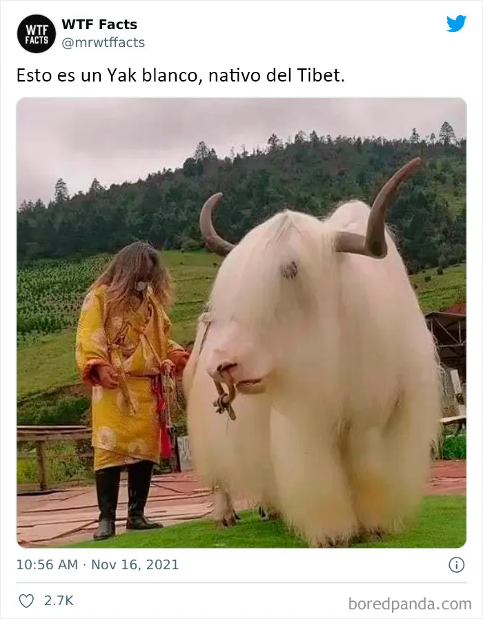 20 Datos al azar que parecen falsos pero no lo son, compartidos en esta cuenta de Twitter (nuevas fotos)
