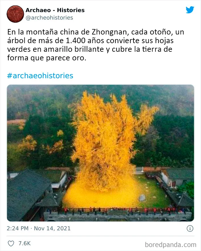 Esta cuenta de Twitter comparte datos históricos interesantes que el mundo no debería olvidar (20 imágenes)