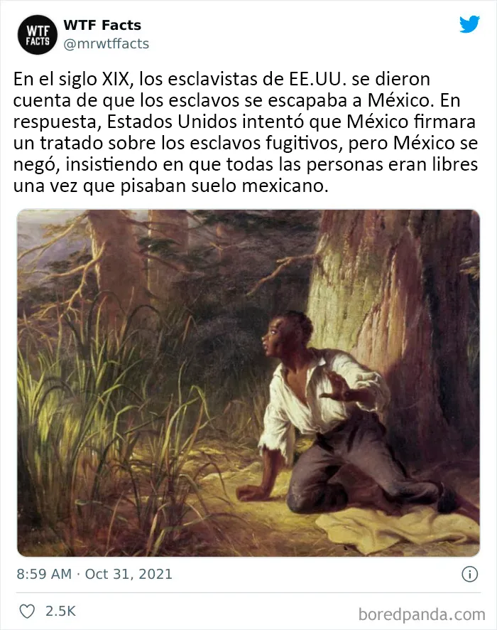 20 Datos al azar que parecen falsos pero no lo son, compartidos en esta cuenta de Twitter (nuevas fotos)