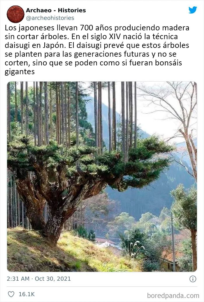 Esta cuenta de Twitter comparte datos históricos interesantes que el mundo no debería olvidar (20 imágenes)