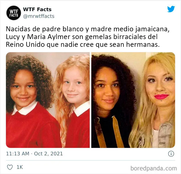 20 Datos al azar que parecen falsos pero no lo son, compartidos en esta cuenta de Twitter (nuevas fotos)