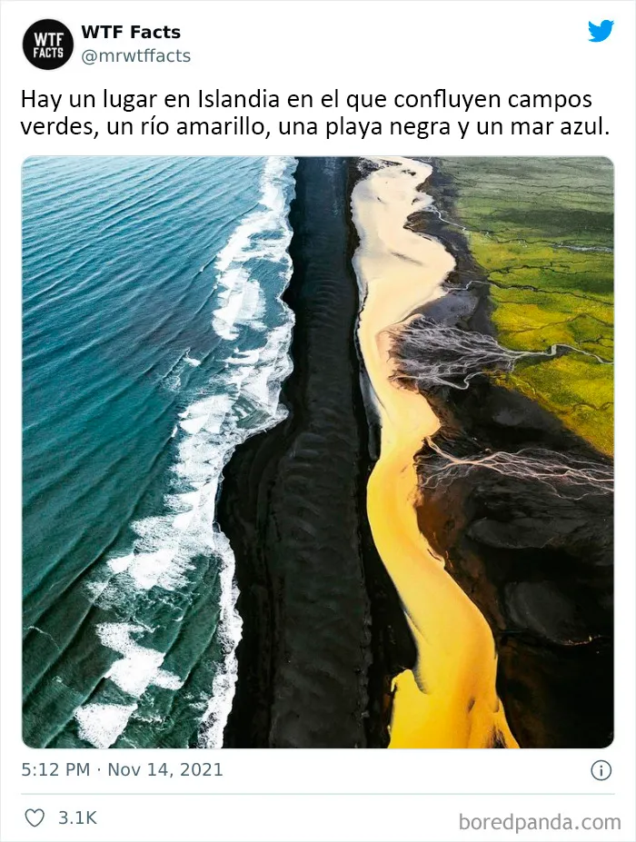 20 Datos al azar que parecen falsos pero no lo son, compartidos en esta cuenta de Twitter (nuevas fotos)