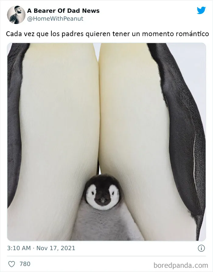 20 De los mejores tuits de padres del mes de Noviembre