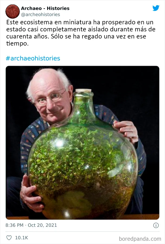 Esta cuenta de Twitter comparte datos históricos interesantes que el mundo no debería olvidar (20 imágenes)