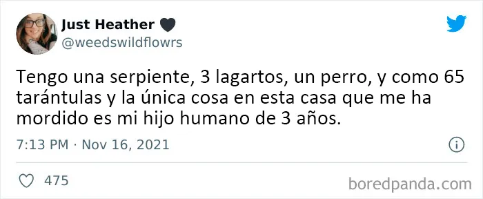 20 De los mejores tuits de padres del mes de Noviembre
