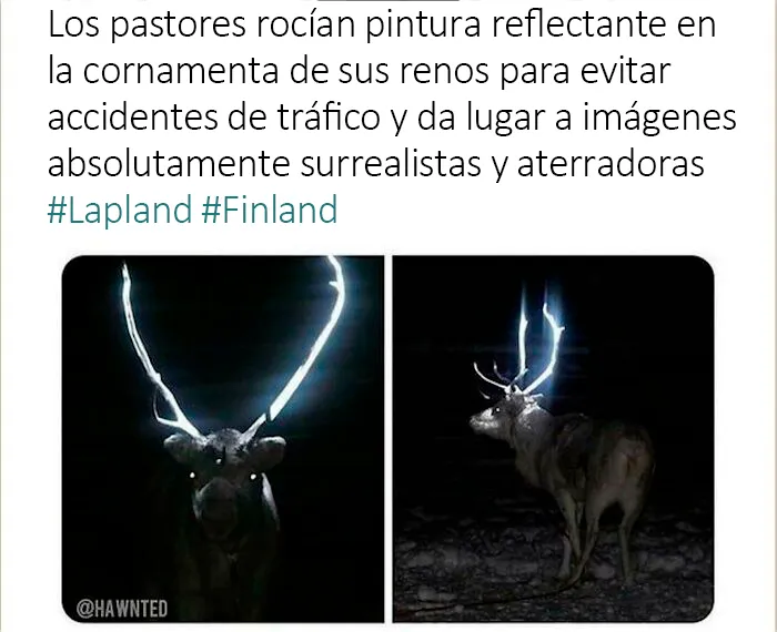 Gracias, odio los renos que brillan en la oscuridad